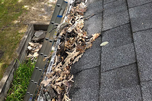 8 Signs It’s Time to Clean Your Gutter