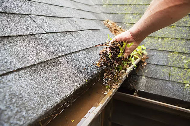 Gutter Cleaning in Athens Georgia