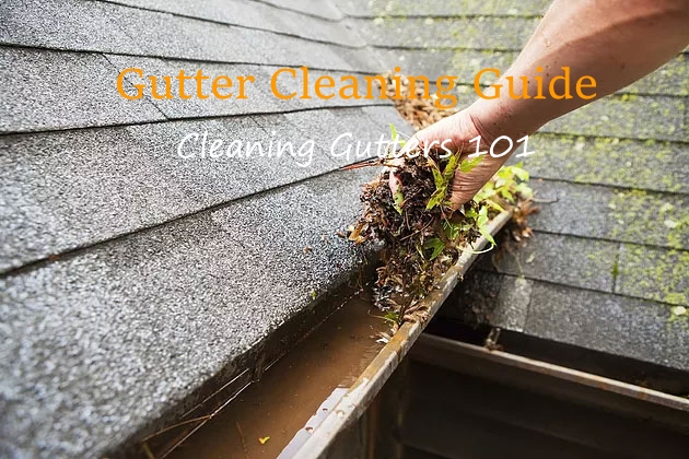 Cleaning Gutters 101: Gutter Cleaning Guide